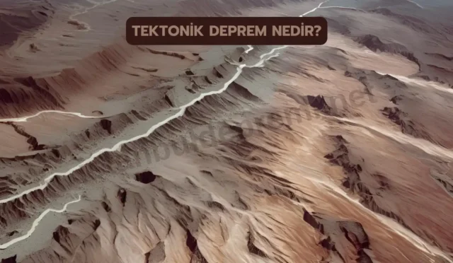 tektonik deprem nedir
